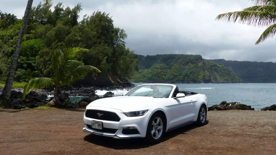 Mustang