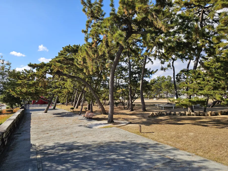 Suma Plajı boyunca park