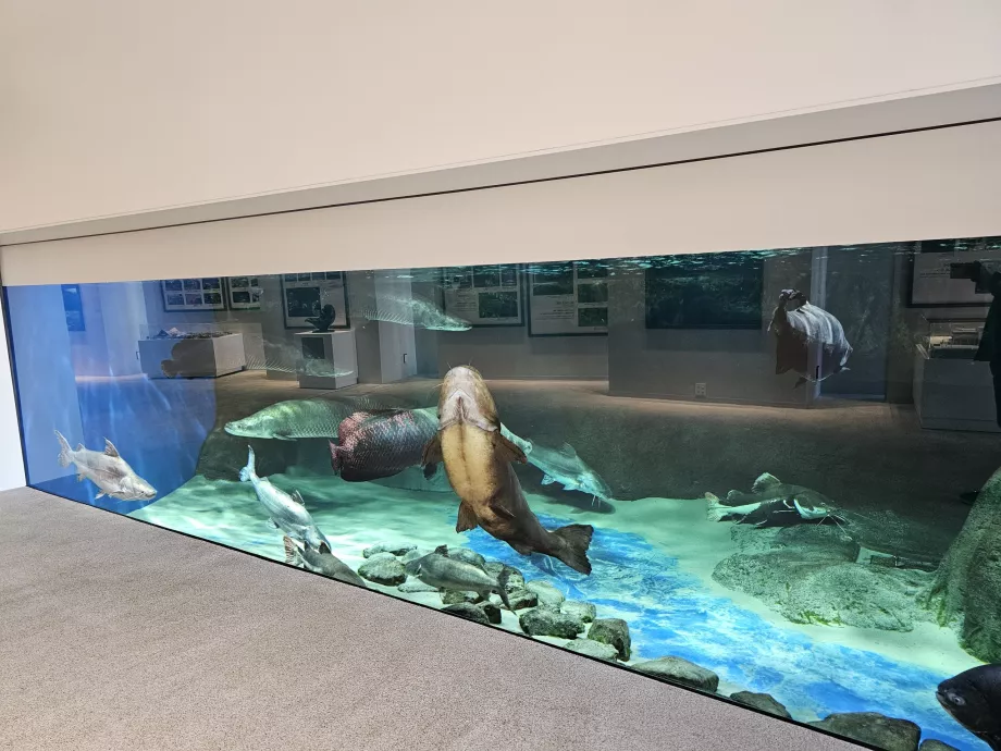 Seaworld'ün Toplamı