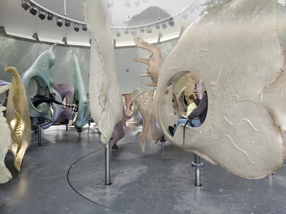 Deniz Atlıkarıncası