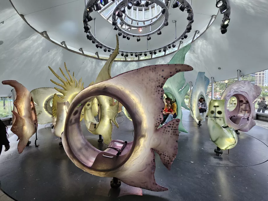 Deniz Atlıkarıncası