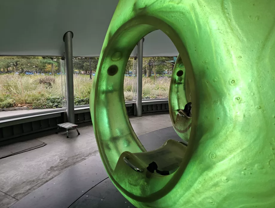 Deniz Atlıkarıncası