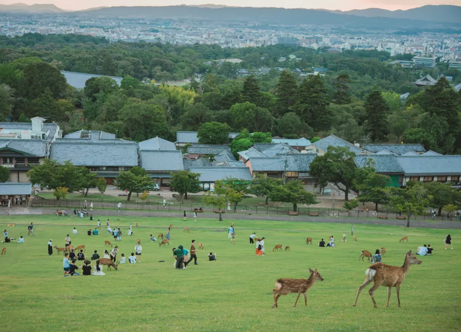 Nara Park'dan görünüm