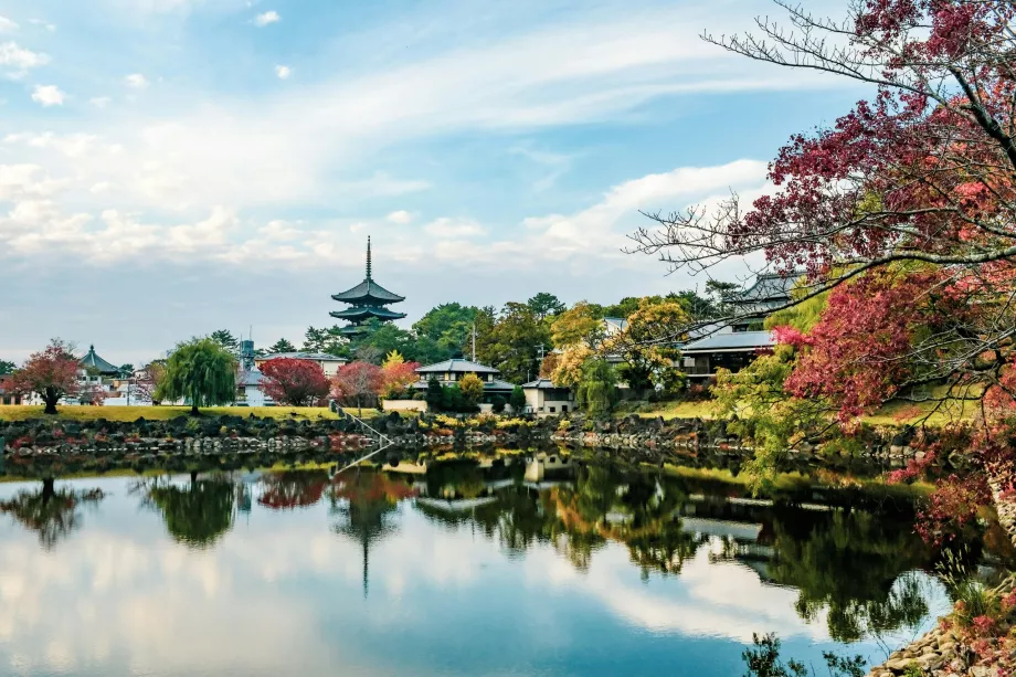 Ben cofukuji