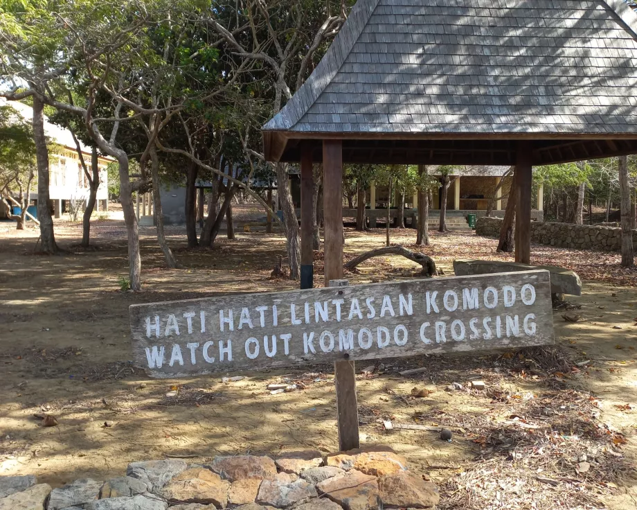 Dikkat, Varanus Komodo Adaları, Endonezya