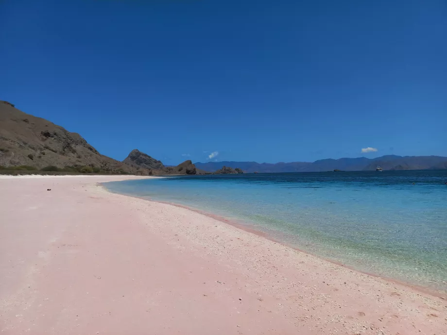 Pink Beach, Komodo Adaları, Endonezya