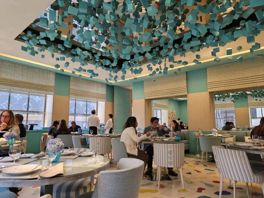 Mavi Kutu, genel çevre