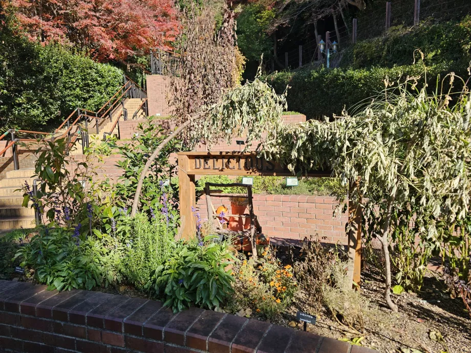 Nunobiki Bitki Bahçeleri