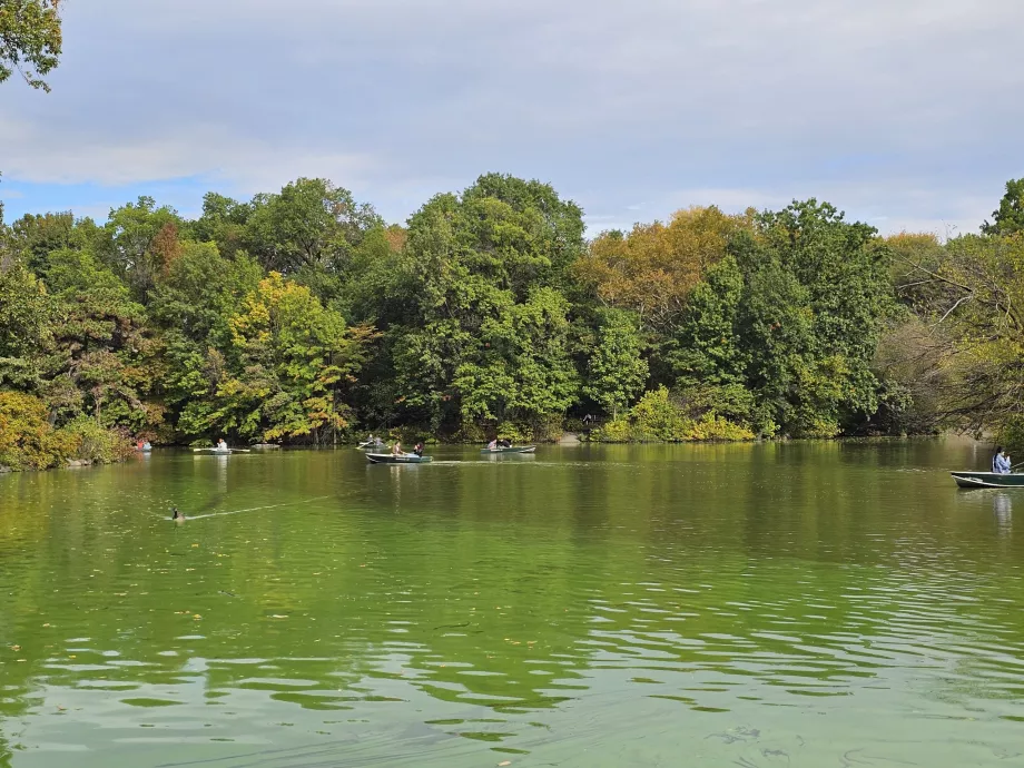 Central Park'ta Göl