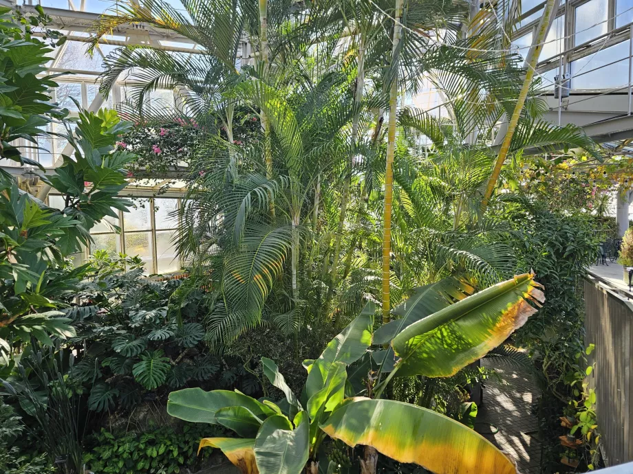 Nunobiki Bitki Bahçelerindeki Sera