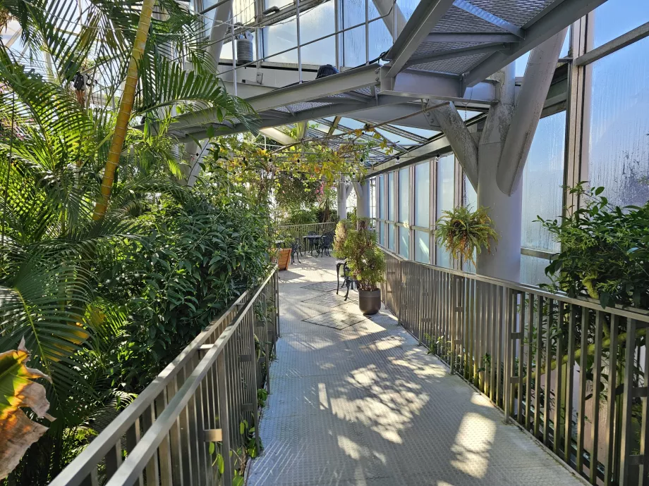 Nunobiki Bitki Bahçelerindeki Sera