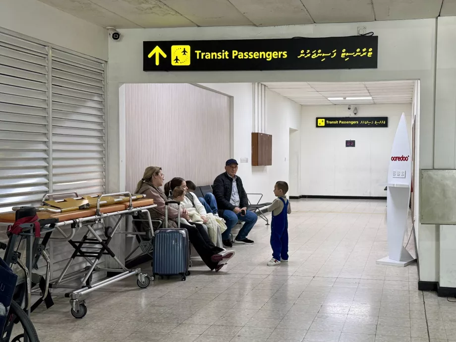 Transit Küçük MLE