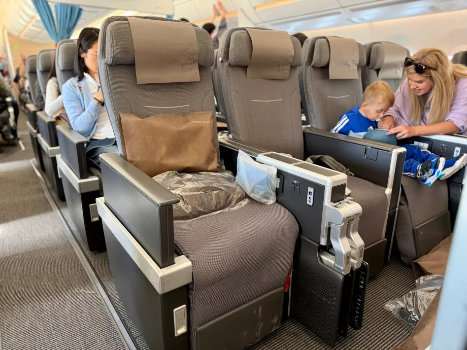 Premium Economy'deki Koltuklar
