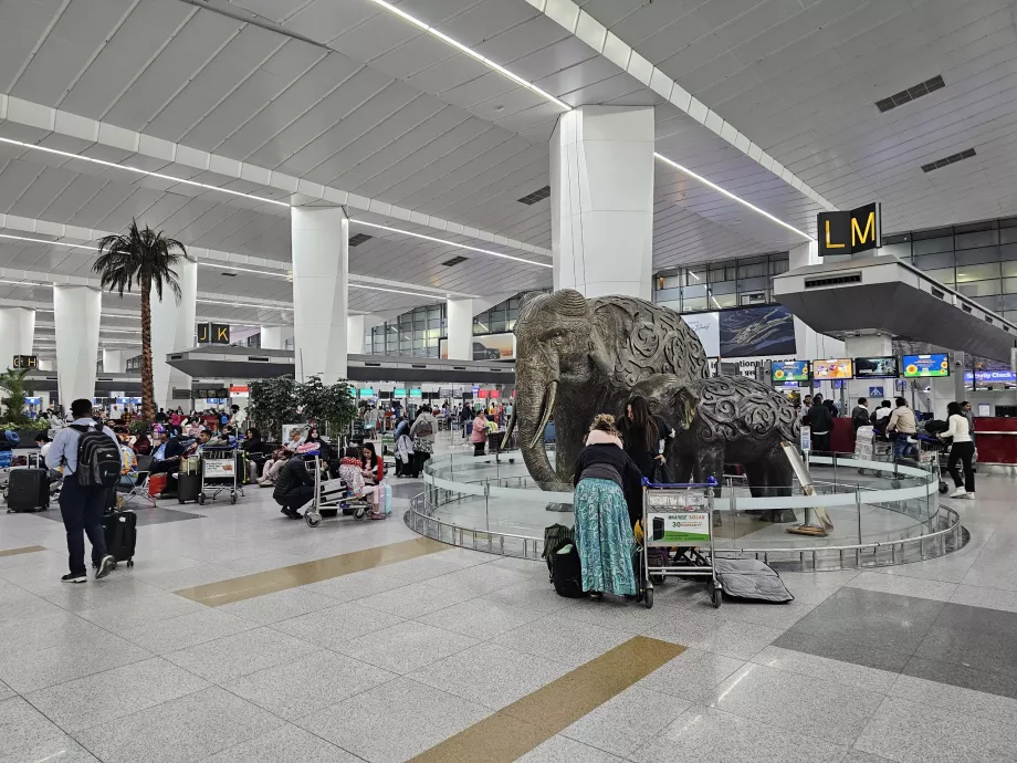 Check-in salonu, Terminal 3