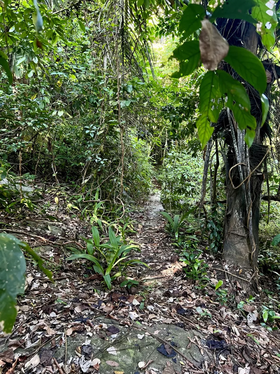 Genting, Tioman için Paya trek