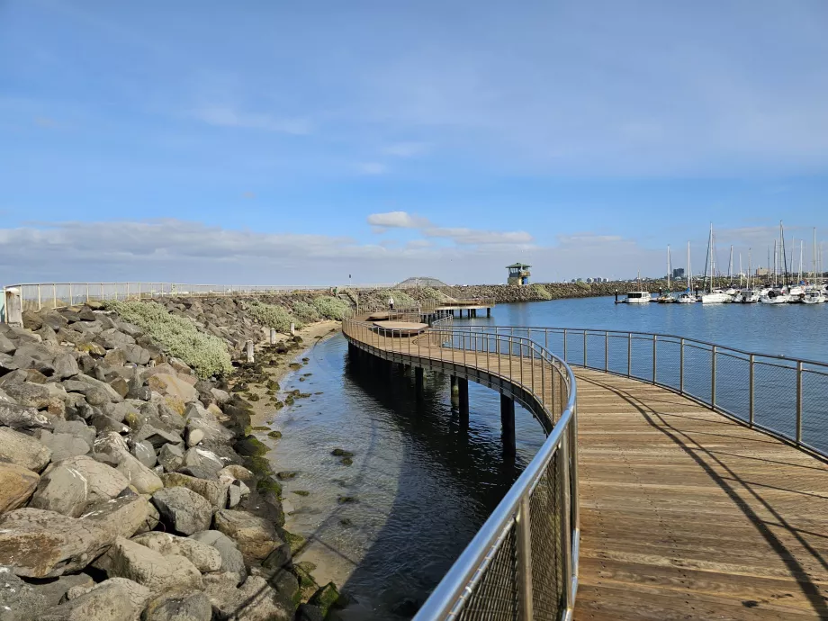 Kilda İskelesi'nde penguen izleme parkuru