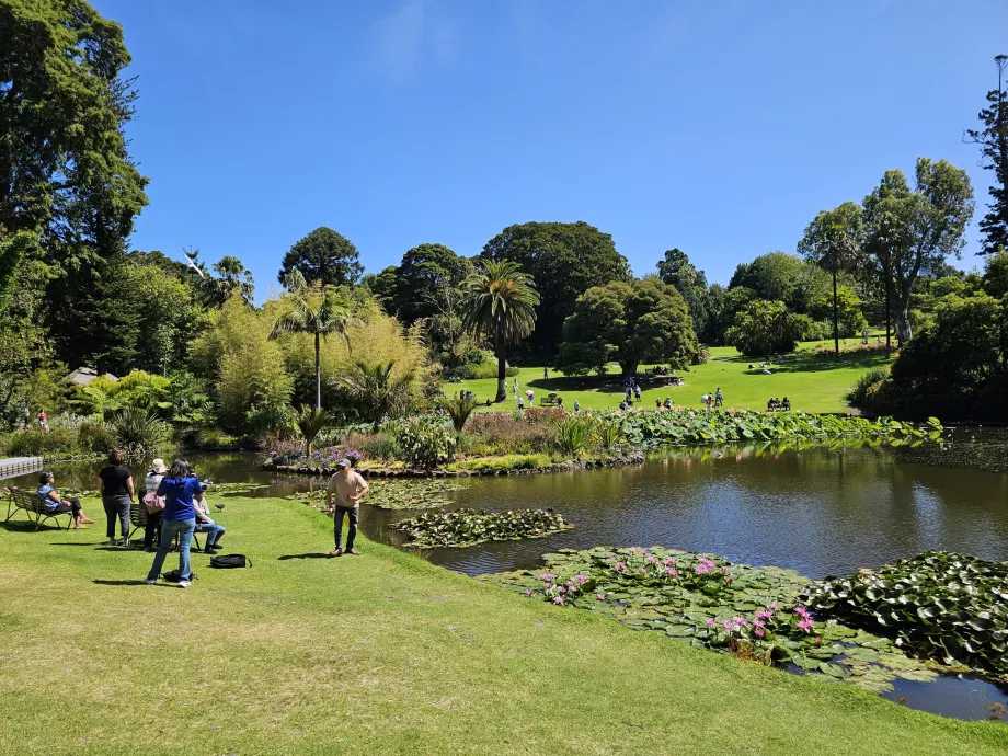 Kraliyet Botanik Bahçeleri