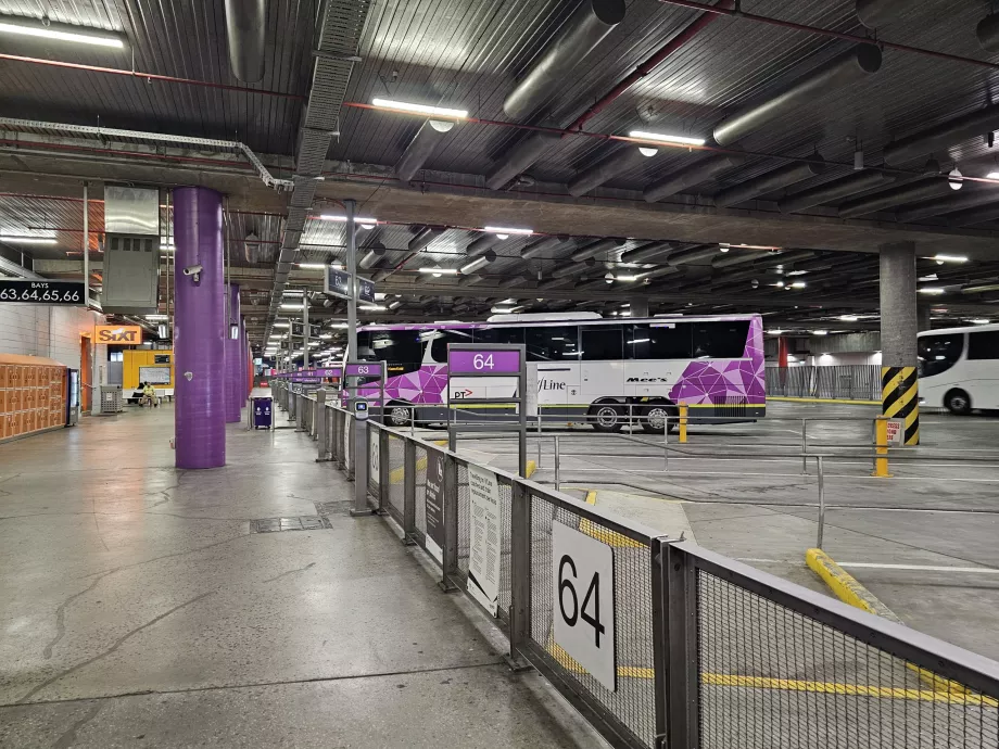 Southern Cross Otobüs Durağı